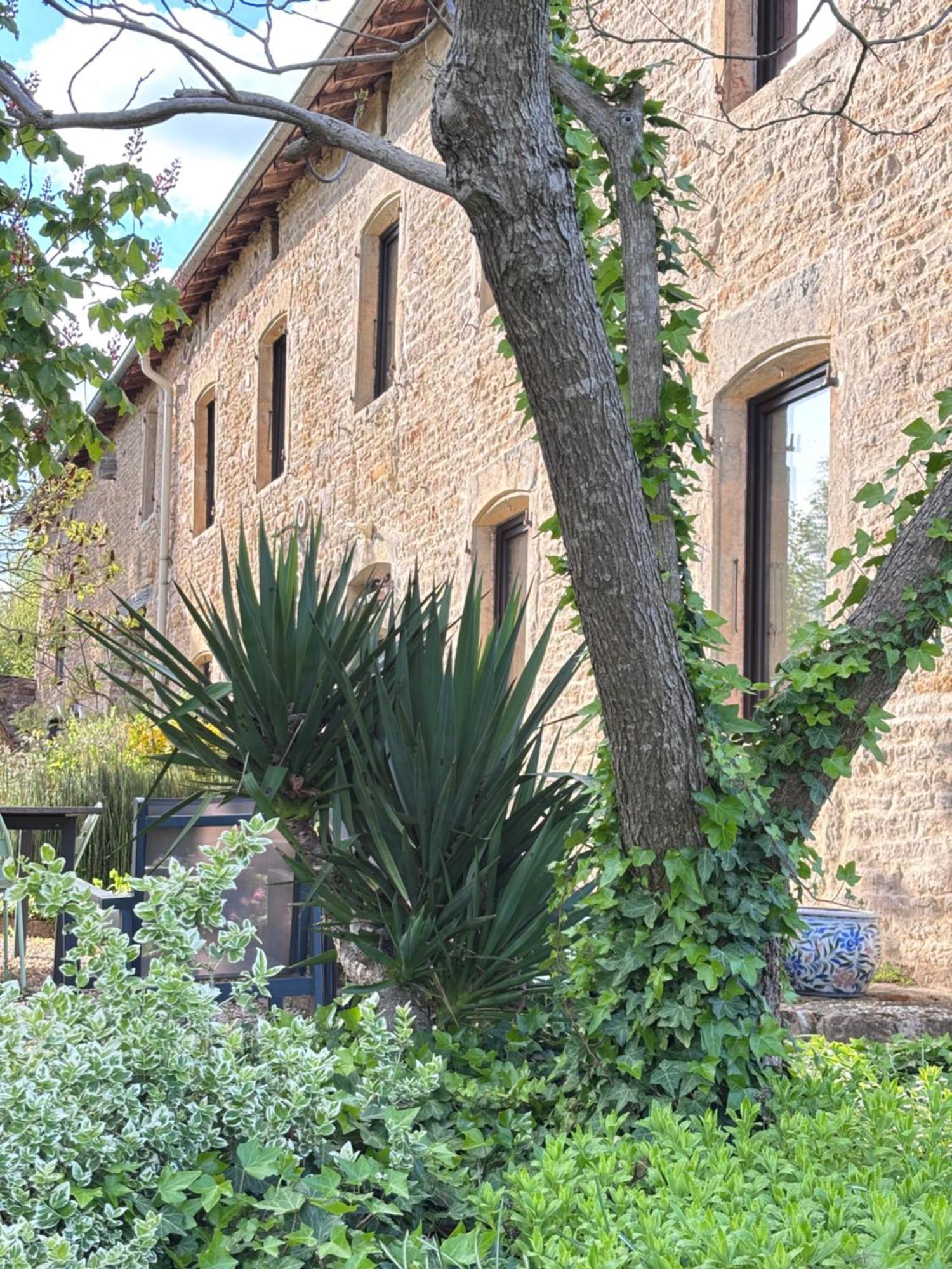 Mazille Domaine Du Vernay מראה חיצוני תמונה